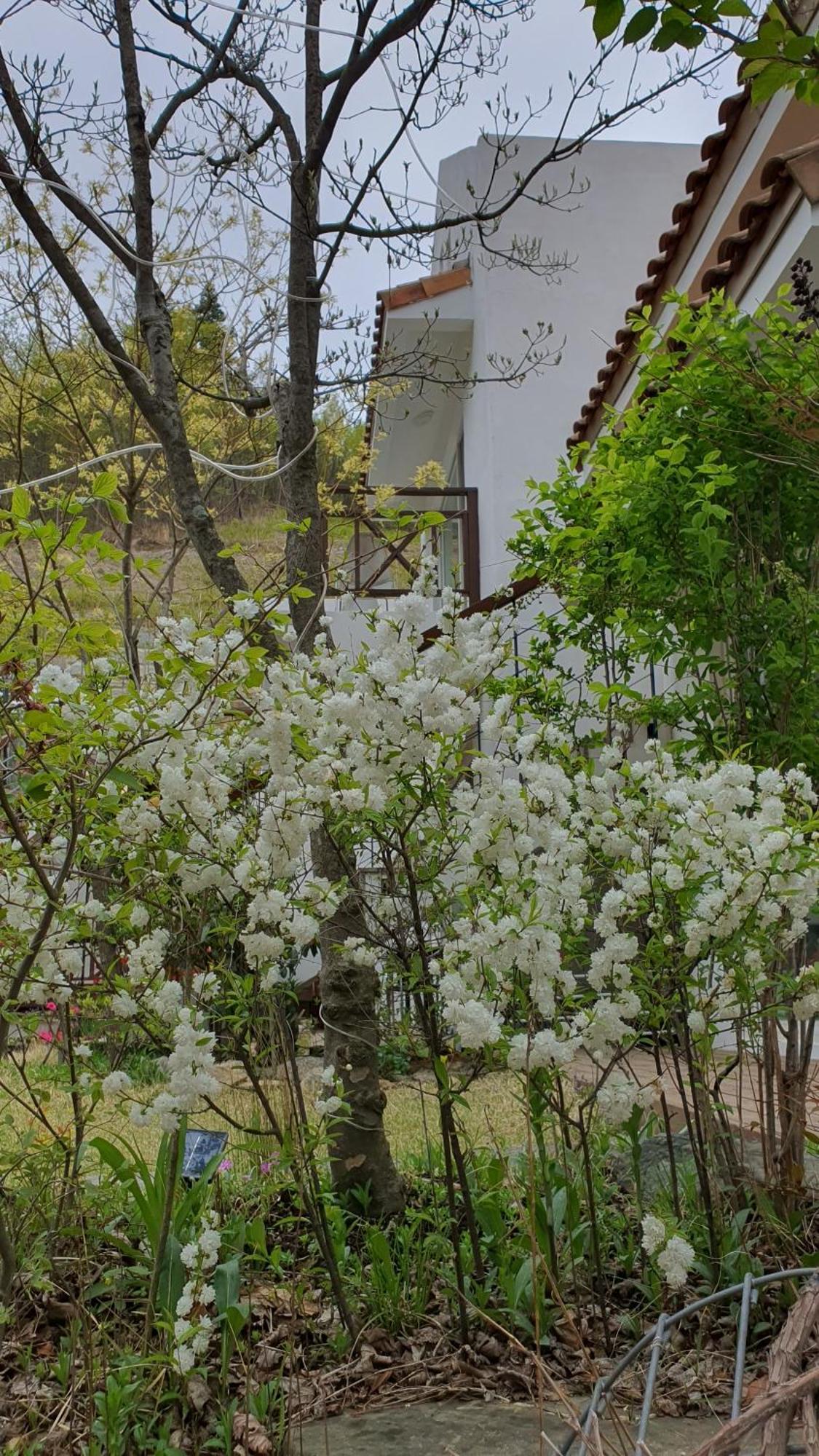 Saint Paul De Vence Vila Damyang Quarto foto